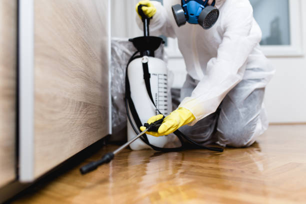 Best Residential Pest Control  in New Lisbon, WI