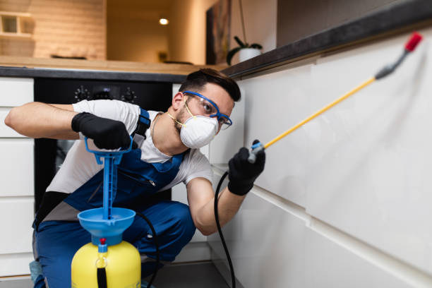 Best Cockroach Control Services  in New Lisbon, WI