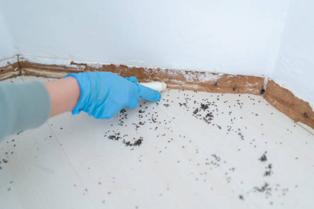Best Commercial Pest Control Services  in New Lisbon, WI