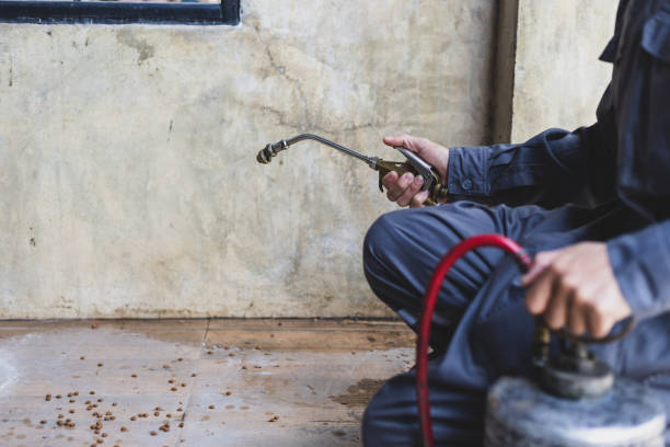 Best Affordable Pest Control Services  in New Lisbon, WI